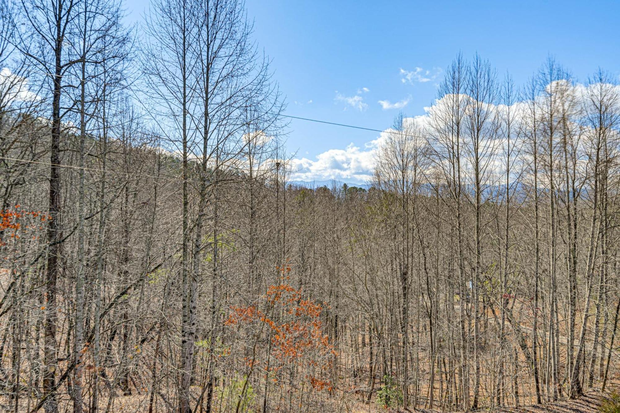 Bryson City Cabin With Hot Tub, Views And Pool Table! Buitenkant foto