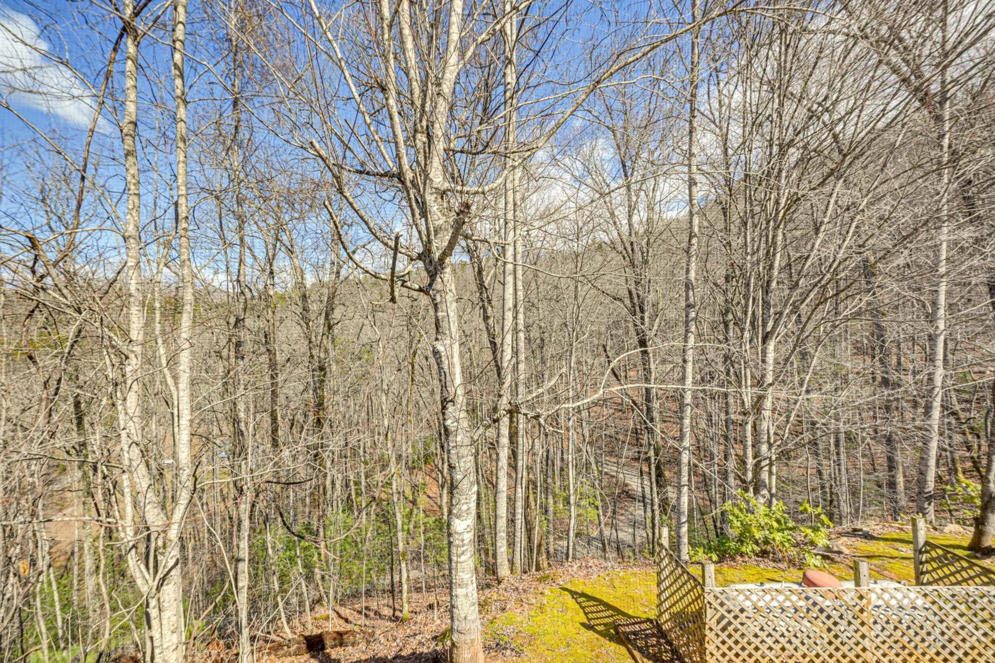 Bryson City Cabin With Hot Tub, Views And Pool Table! Buitenkant foto